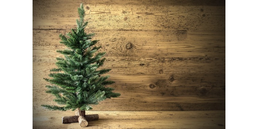 Déposez votre sapin dans un point collecte !